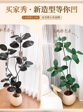 仿真绿植橡皮树黑金刚大型落地摆件高端轻奢客厅室内装饰假绿植物