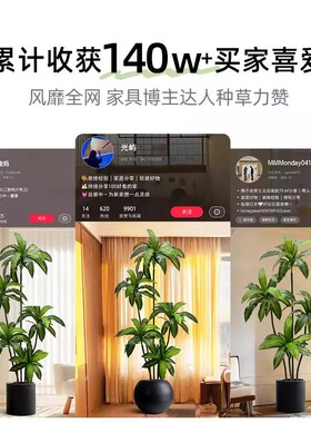 仿真绿植高端轻奢巴西木室内客厅装饰落地摆件中古风假植物盆栽树