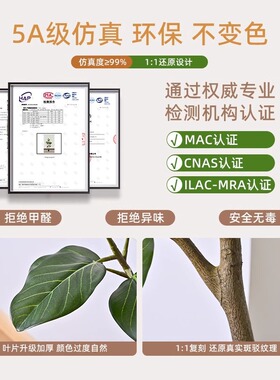 仿真绿植高端轻奢孟加拉榕假绿植高级感客厅装饰室内植物假树摆件