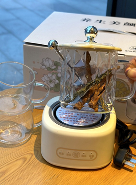 思养智能便携电热养生杯礼盒
