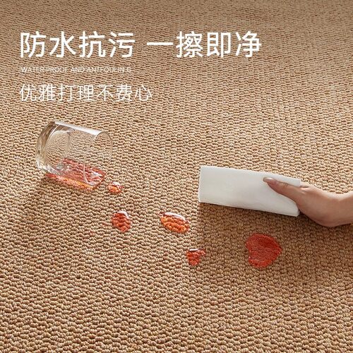 纯色剑麻地毯菠萝圈家用卧室客厅大面积满铺地板防滑耐脏现代简约 - 图2