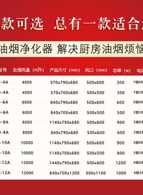 低空排放风量饭店烧烤油烟净化器