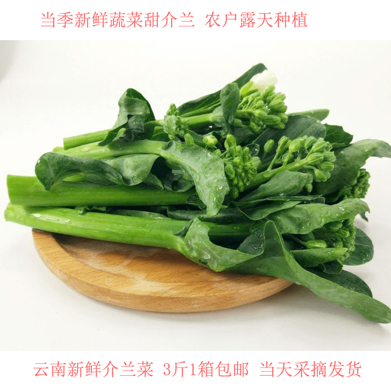 芥蓝菜云南新鲜蔬菜甜介兰云南农户露天种植食用农产品产地直发 - 图0