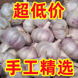 細(xì)節(jié)圖