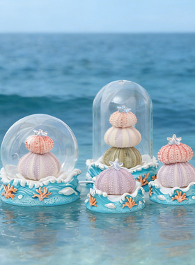 海胆壳贝壳小夜灯手工装饰品摆件