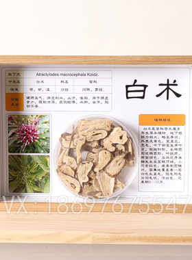 中医文创标本展示材标本装饰画中草药标本相框中医文化墙