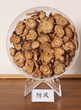 中医文创标本展示材标本装饰画中草药标本相框中医文化墙