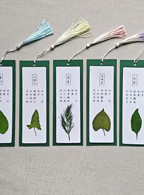 中医常见草药功效真植物叶子压花书签DIY手工材料包半成品