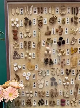 成品材标本框标本画中医手工摆件装饰画标本墙定制展示框