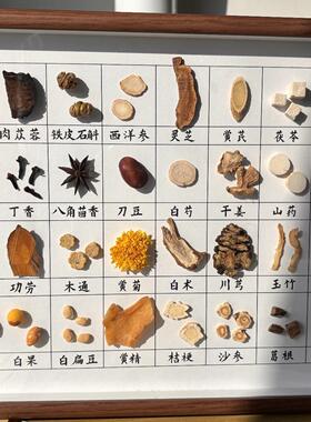 标本画药食同源摆件文创国医框直播间草本展示样品文化墙装饰