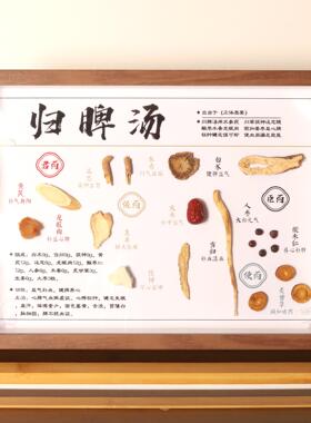 中医标本标本展示材标本装饰画中草药标本相框中医文化墙