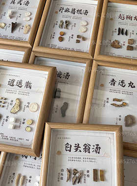 中草药标本展示中医院医馆装饰画传统中医文化宣传画文创