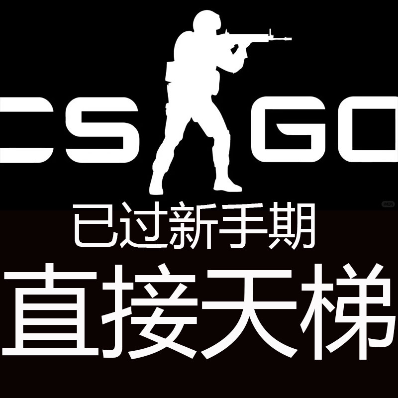 csgo账号完美世界对战平台账户绿色认证普通玩家csgo2天梯炸鱼号 - 图2