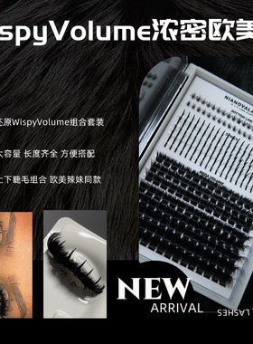 【BADGAL】欧美浓密混血卷翘款Volume上下睫毛5D单簇自嫁接假睫毛