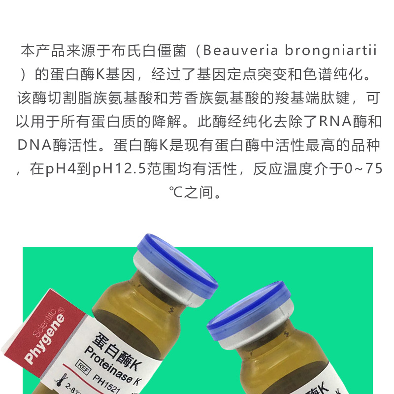 蛋白酶K Proteinase K 科研试剂 39450-01-6 [PH1521 PHYGENE] - 图0