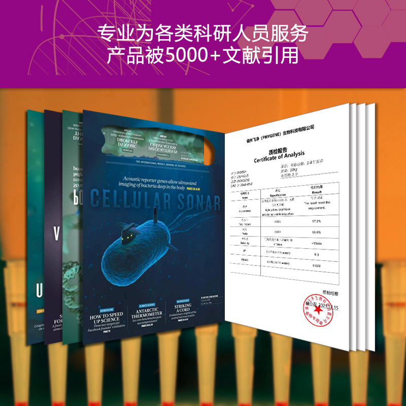 DPPH溶液 15mg/500mL/ 0.2mmol/L自由基清除显色实验 PHYGENE-图1