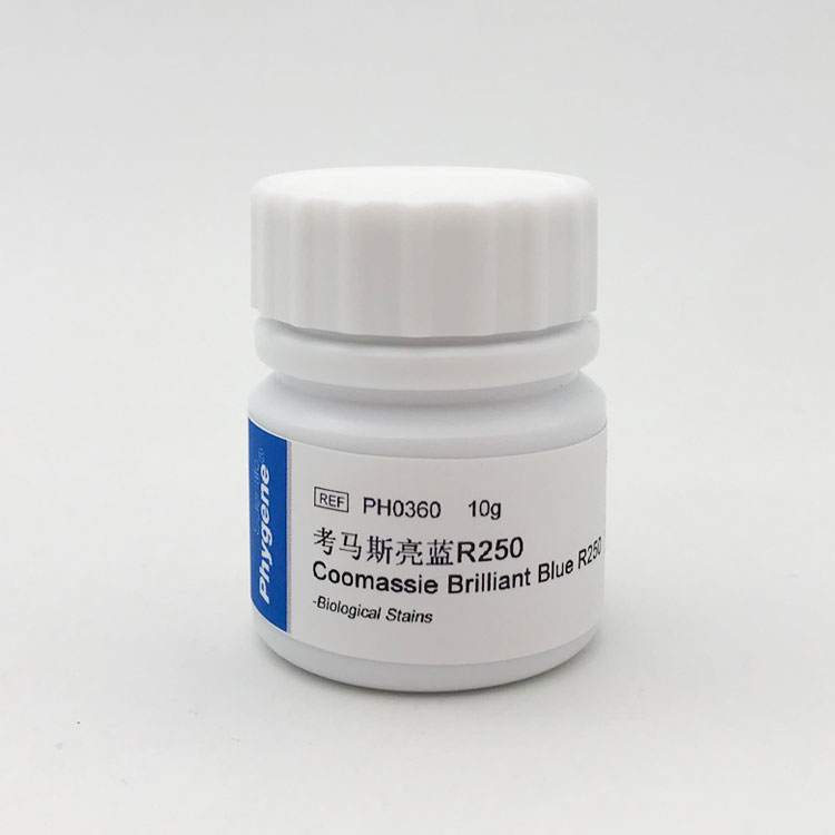 考马斯亮蓝R250 考马斯亮兰R-250 酸性蓝 实验试剂 飞净/PHYGENE - 图0