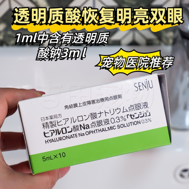 日本千寿宠物专用干眼0.3%修复滴眼液点眼液猫狗角膜腐骨溃疡5ml - 图1