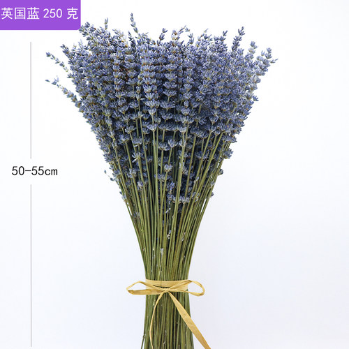 薰衣草干花天然风干花束安神助眠香薰网红插花家居装饰摆设永生花 - 图1