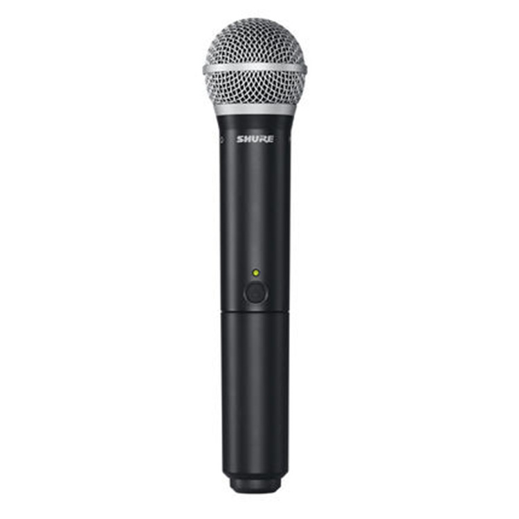 Shure/舒尔BLX288/PG58 抖音一拖二无线 Shure/舒尔 SVX288/PG58 - 图0