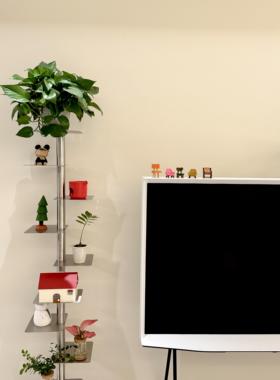 【新家的100个快递】桌面客厅摆件家居好物装饰品提升幸福感小物