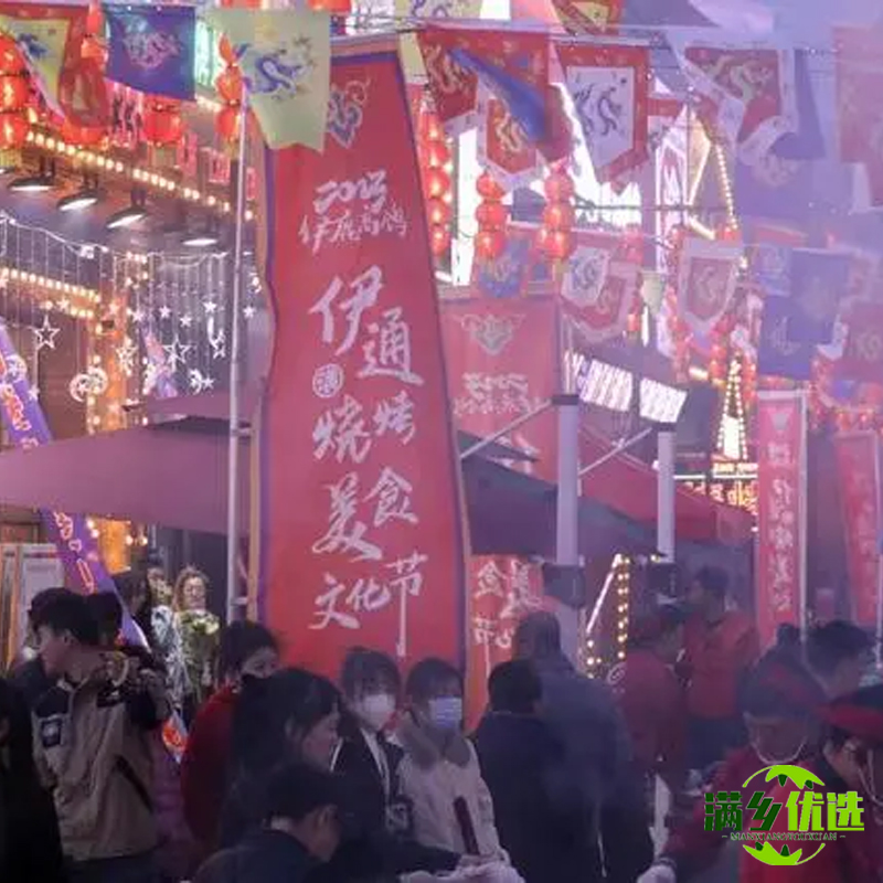 吉满乡伊通烧鸽子东北烤鸽子脆皮乳鸽鸽肉鸽子熟食即食顺丰古法 - 图3