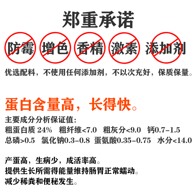 芦丁g小鸡鹌鹑专用开口饲料育雏高蛋白产蛋散装蓝胸颗粒粮食料 - 图0