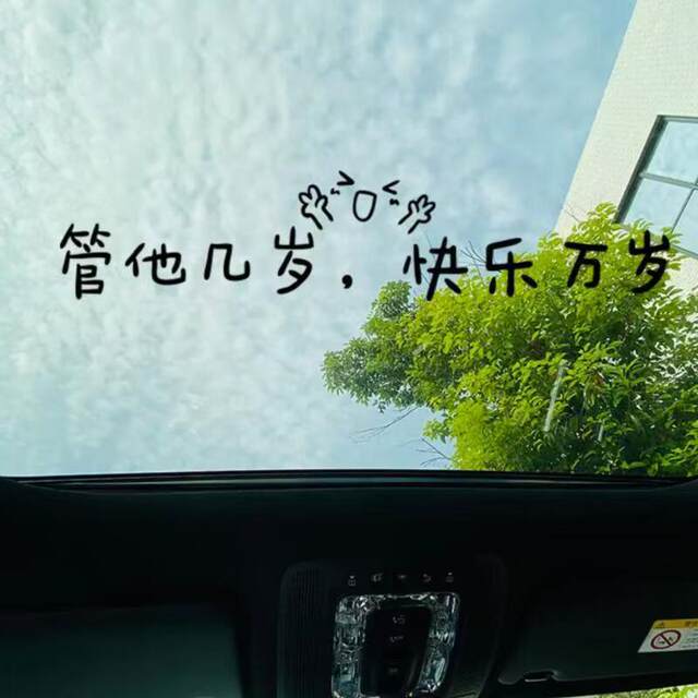 Car sunroof stickers personalized creative text car stickers