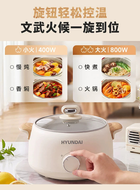 学生锅家用小型电热火锅迷你