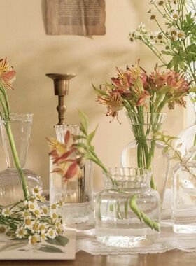 Transparent Bubble Glass Vase Crystal Ball Flower Vases Hydr