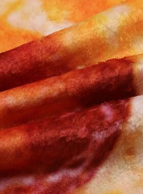 Warm Pizza Food Blanket Super Soft Plush Throw Blankets For
