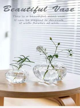 Home Planters Clear Glass Flower Vase Plant Stand Vase Flowe