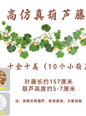 天然葫芦高仿真绿叶藤蔓