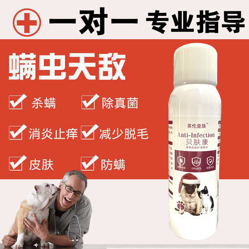 狗狗皮肤护理外用护理喷剂杀螨虫狗藓止痒真菌狗藓宠物专用贝肤康 - 图0