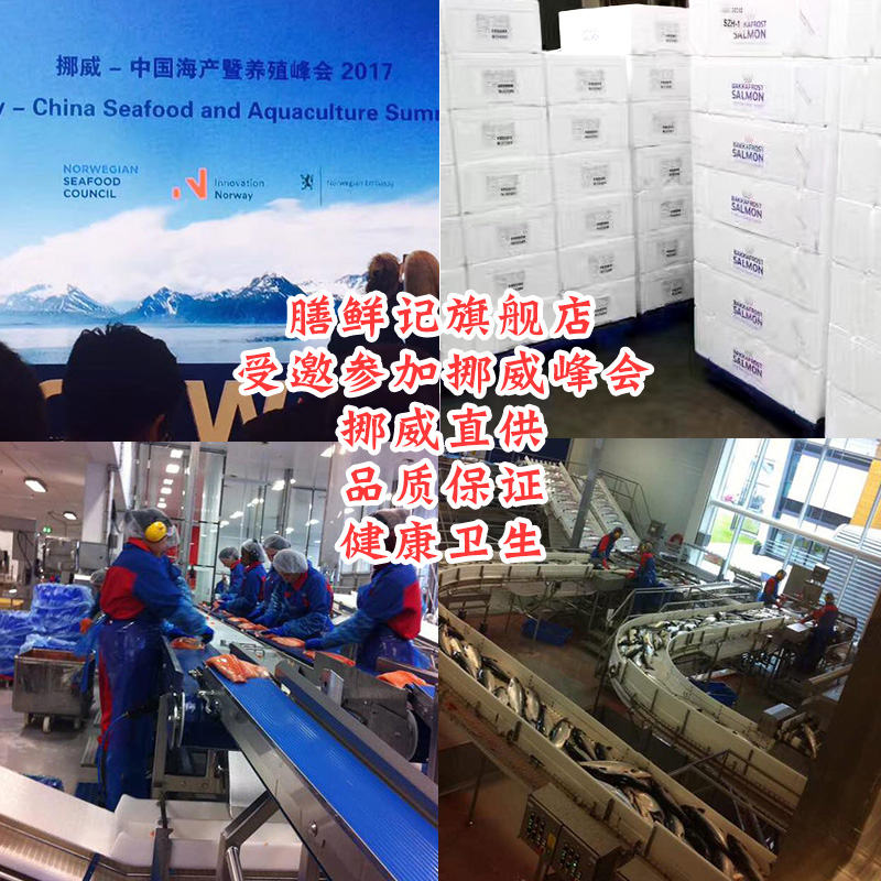 膳鲜记旗舰店挪威冰鲜三文鱼刺身拼盘新鲜生鱼片日料即食整条三文鱼腩净肉250g3