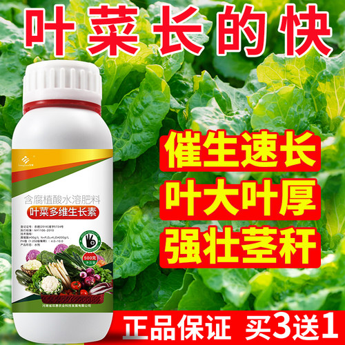 叶菜叶面肥蔬菜青菜大白菜韭菜香菜生菜催生速长生长素增产剂专用 - 图1