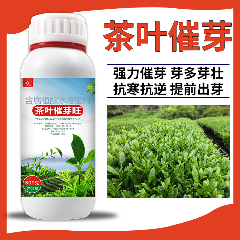 茶叶专用叶面肥喷施茶树茶叶催芽素催芽剂壮芽茶叶崔芽剂-图1