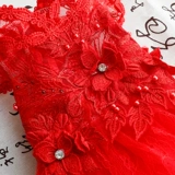 Собачья одежда кошачья юбка