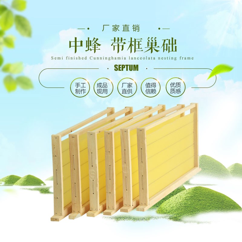 带框巢础中蜂巢框成品全杉木蜂具巢脾10个装中蜂巢础全套养蜂工具