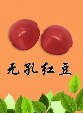 相思红豆散珠手工DIY情侣手链配件红豆菩提原籽手工编织穿珠配件
