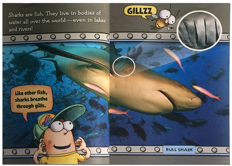 进口英文原版 Fly Guy Presents Sharks 苍蝇小子:鲨鱼 Scholastic Reader, Level 2 学乐分级小读本2级 儿童英语启蒙阅读绘本 - 图2