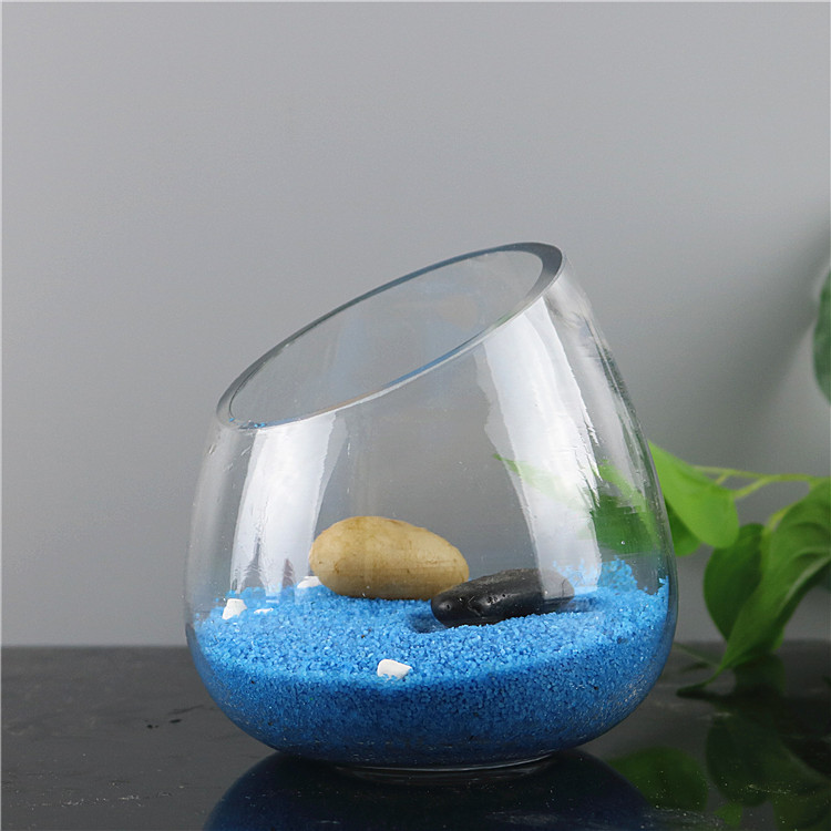 创意多肉植物器皿斜口玻璃花瓶透明水培植物花盆室内盆栽花卉容器 - 图2