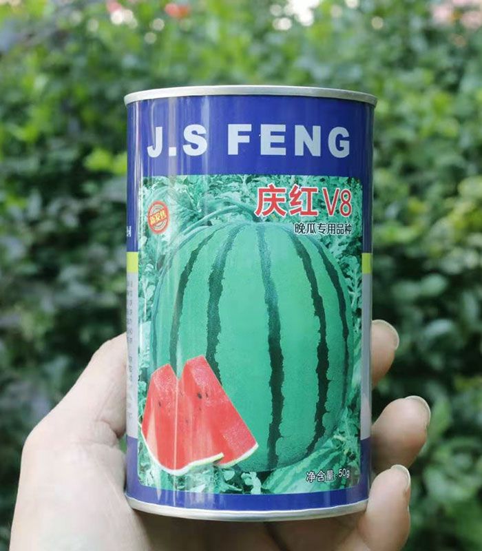 庆红西瓜种子庆红v8高产西瓜种子大果型东北大地雷晚熟大红瓤超甜