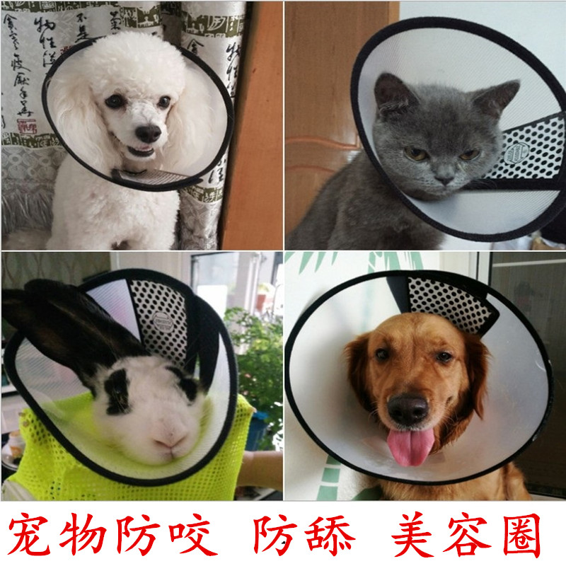 伊丽莎白圈猫咪项圈脖猫伊利沙白宠物狗狗头套防咬防舔耻辱圈用品-图0