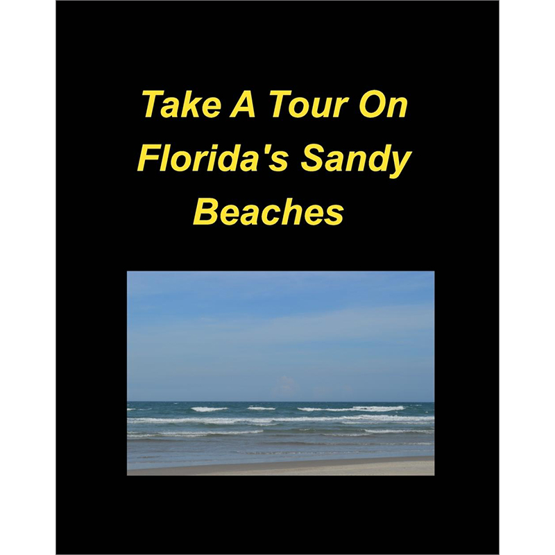 预售 按需印刷  Take A Tour On Florida's Sandy Beaches - 图0