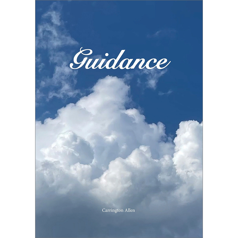 预售 按需印刷  Guidance - 图0