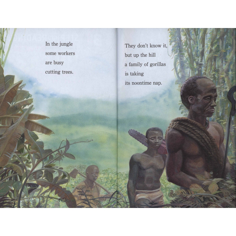 进口原版Gorillas: Gentle Giants of the Forest大猩猩: 森林 分级阅读 儿童读物 - 图0