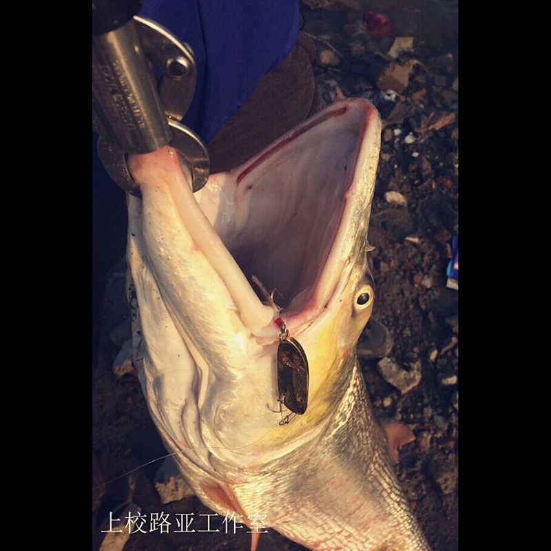 拟饵玩家闪电双曲路亚饵亮片超远投翘嘴假饵鳡鱼鲈鱼鳜鱼水库拟饵,淘宝优惠券,粉丝福利购,淘宝优惠卷