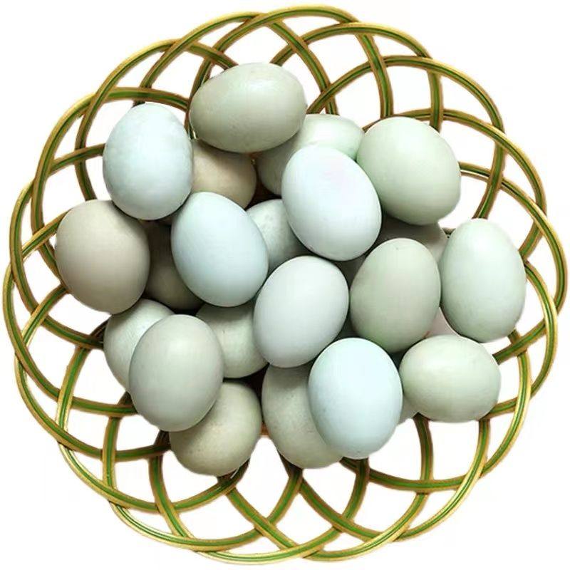 苏禽绿壳下蛋多绿壳蛋鸡种蛋受精蛋可孵化小鸡的蛋量大优惠宠物鸡,淘宝优惠券,粉丝福利购,淘宝优惠卷