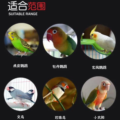 鸟益生菌补钙营养剂鹦鹉嗉囊积食葡萄糖磷钙粉电解质肠道鸟宠常备 - 图2